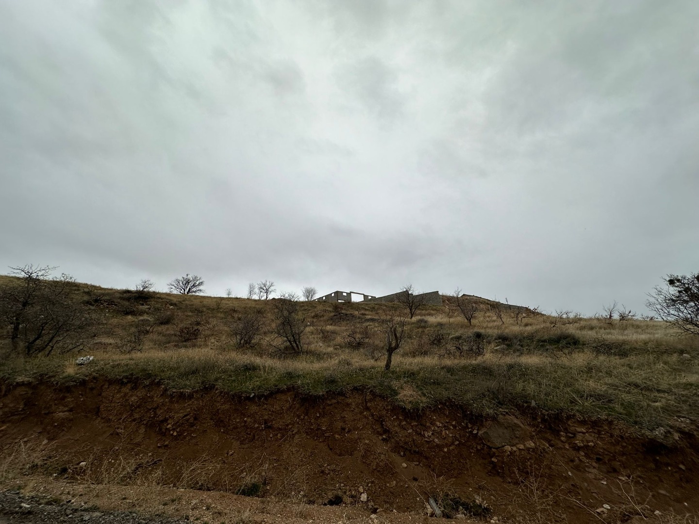 KAYSERİ DEVELİ TOMBAK MAHALLESİ ÇAPAYERİ MEVKİİNDE SATILIK 1316 m2 BAĞ